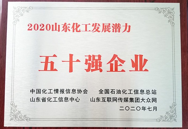 2020年山东化工发展潜力五十强企业