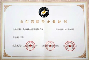 山东省瞪羚企业证书