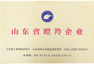山东省瞪羚企业